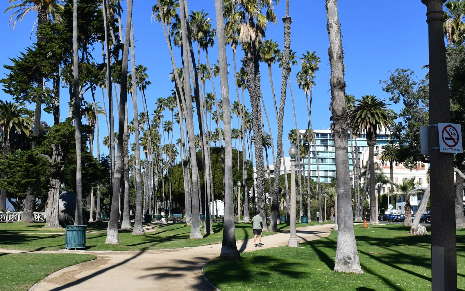 A coastal park vista with natural landscape and ocean views along the Santa Monica cliffs